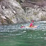 شقة Coccodrilla Varallese