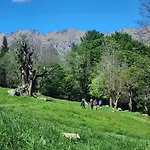 Coccodrilla Varallese * فارالو